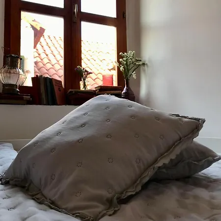 Centar Diocletian's Palace Daire *